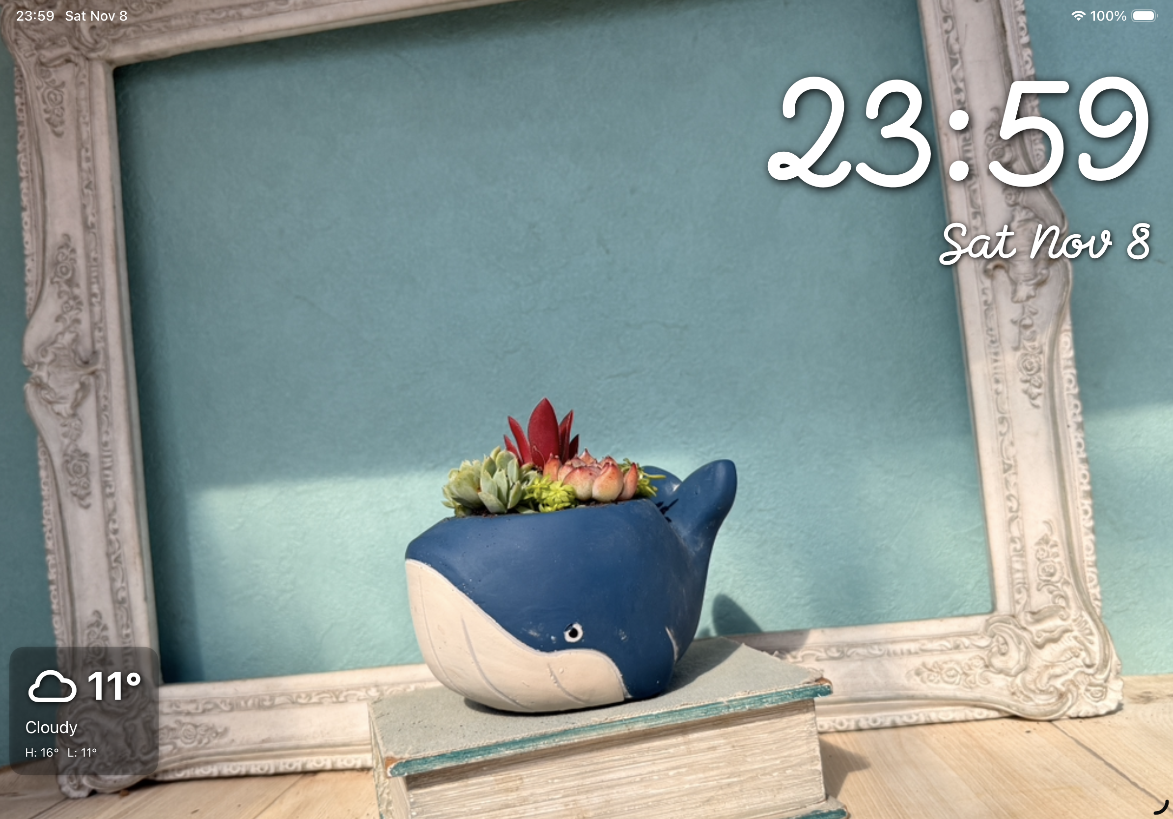 App screenshot on iPad